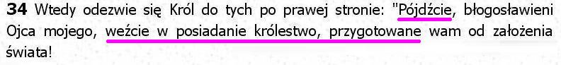 Biblia Tysiąclecia Pallottinum