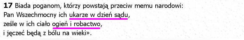Biblia Tysiąclecia Pallottinum