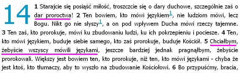 Biblia Tysiąclecia Pallottinum