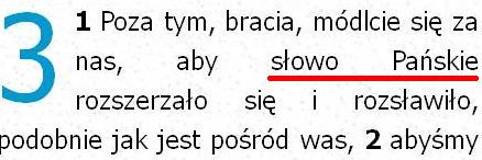 Biblia Tysiąclecia Pallottinum