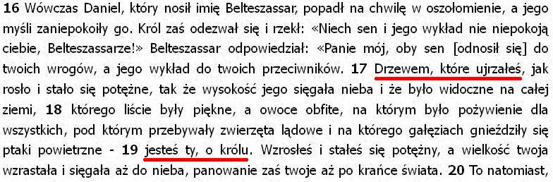 Biblia Tysiąclecia Pallottinum