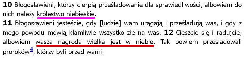 Biblia Tysiąclecia Pallottinum