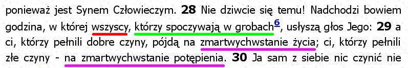 Biblia Tysiąclecia Pallottinum