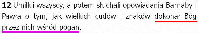 Biblia Tysiąclecia Pallottinum