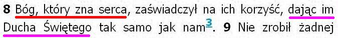Biblia Tysiąclecia Pallottinum