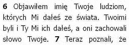 Biblia Tysiąclecia Pallottinum