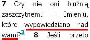 Biblia Tysiąclecia Pallottinum