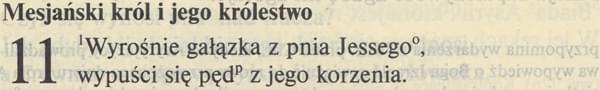 Pismo Święte Starego i Nowego Testamentu ed. św. Pawła
