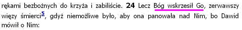 Biblia Tysiąclecia Pallottinum