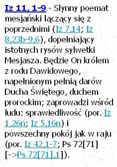 Biblia Tysiąclecia Pallottinum