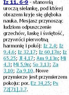 Biblia Tysiąclecia Pallottinum